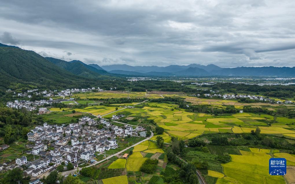 绑定自助领取彩金
